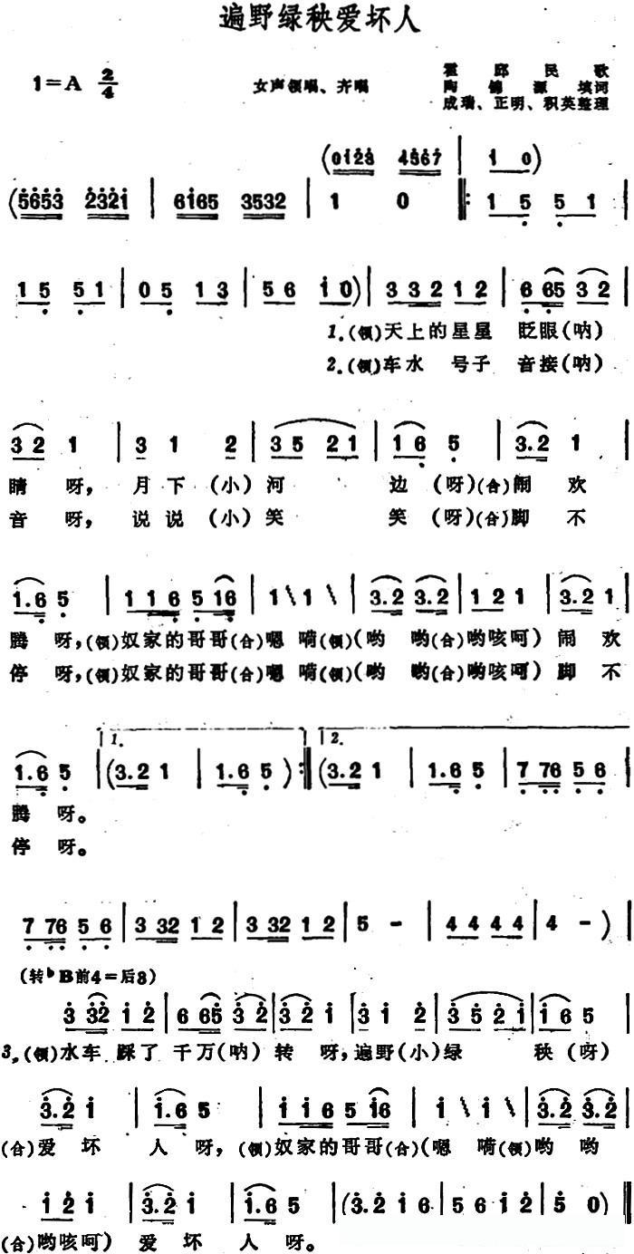 遍野绿秧爱坏人 （安徽霍邱民歌）
