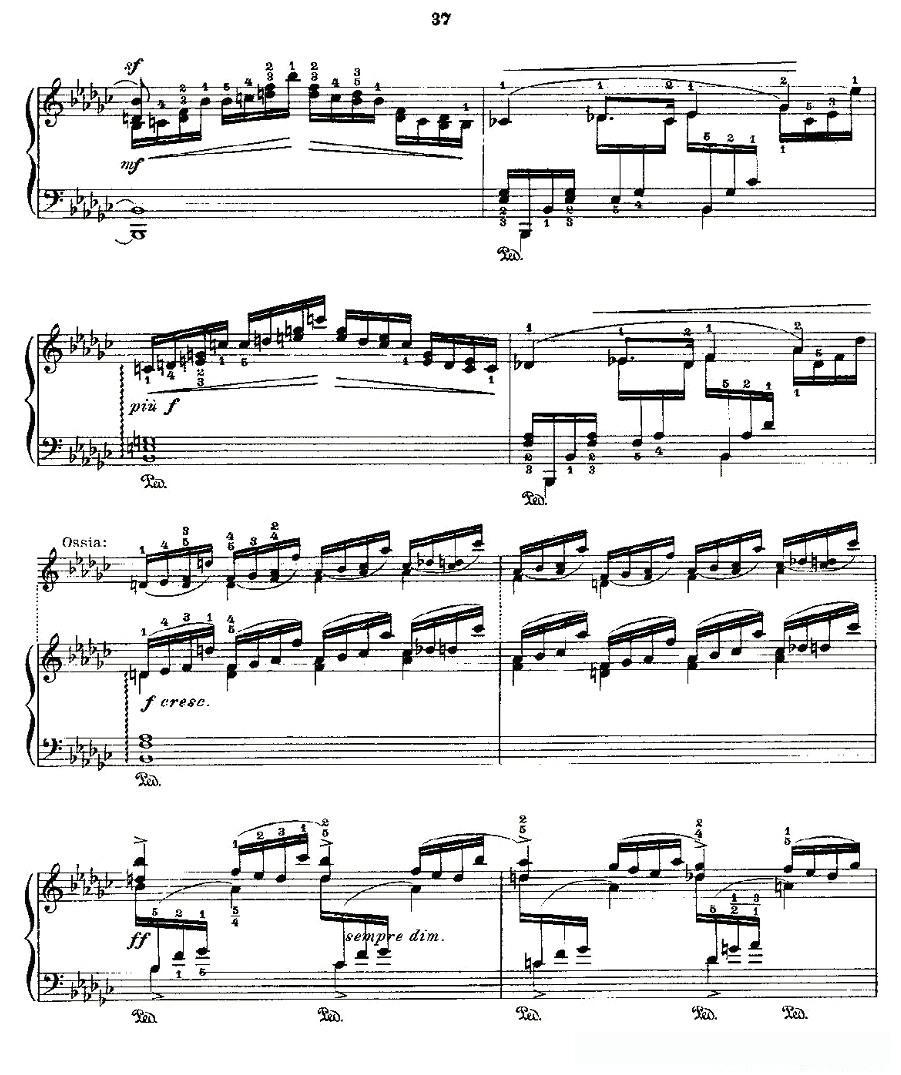 肖邦《练习曲》Fr.Chopin Op.10 No8-2