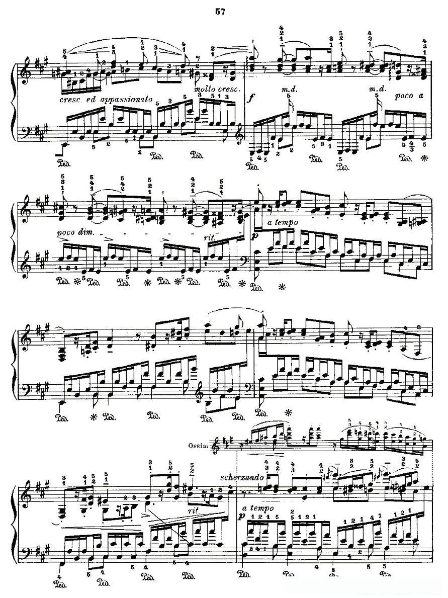 肖邦《练习曲》Fr.Chopin Op.10 No5-4