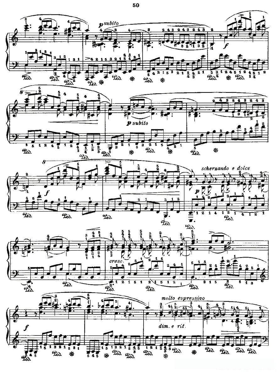 肖邦《练习曲》Fr.Chopin Op.10 No5-3