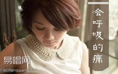 会呼吸的痛梁静茹吉他谱 吉他吧