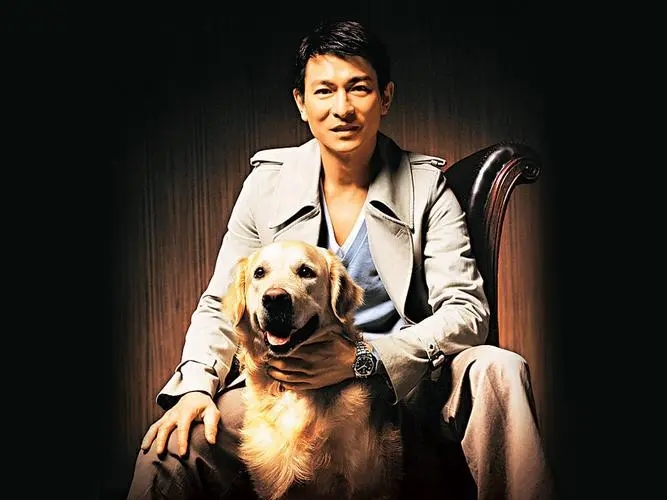 孤星泪吉他谱_刘德华_G调_六线谱