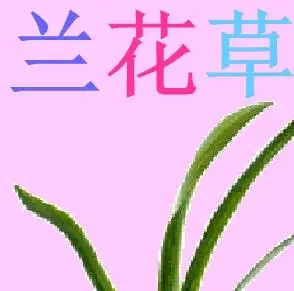 兰花草吉他谱_G调_吉他伴奏练习曲