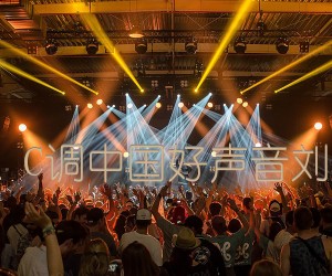 《作曲家 C调中国好声音刘郡格版吉他谱》_群星_C调_吉他图片谱1张