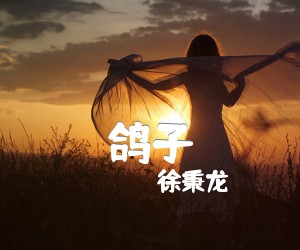 《鸽子吉他谱》_徐秉龙_C调_吉他图片谱2张