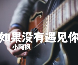 《如果没有遇见你吉他谱》_小阿枫_夏铜子_六线谱高清版_吉他图片谱3张