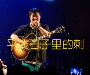 《平淡日子里的刺吉他谱》_宋冬野_G调_吉他图片谱2张