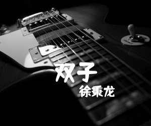 《双子》