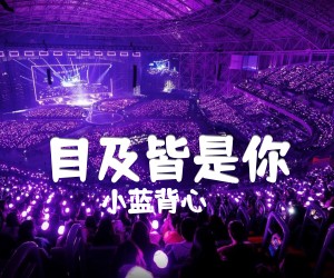 《目及皆是你吉他谱》_小蓝背心_G调_吉他图片谱3张