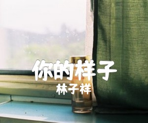 《你的样子吉他谱》_林子祥_G调_吉他图片谱2张