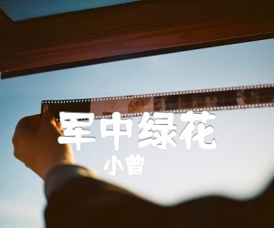 《军中绿花吉他谱》_小曾_G调_吉他图片谱1张