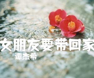 《女朋友要带回家吉他谱》_谭杰希_G调_吉他图片谱2张
