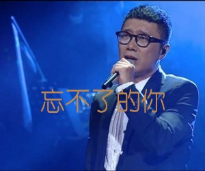 《忘不了的你吉他谱》_庞龙_未知调_吉他图片谱2张