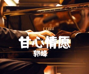 《甘心情愿吉他谱》_郭峰_D调_吉他图片谱2张