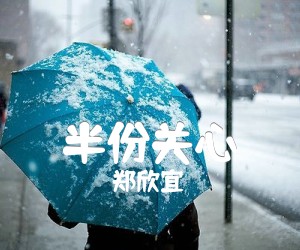 《半份关心吉他谱》_郑欣宜_G调_吉他图片谱2张