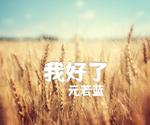 《我好了吉他谱》_元若蓝_G调_吉他图片谱1张