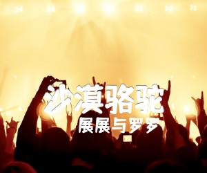 《沙漠骆驼吉他谱》_展展与罗罗_G调_吉他图片谱2张