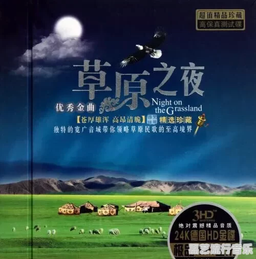 你觉得中国歌曲最好听的是哪十首 - 苹果DJ站