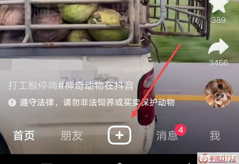 抖音怎么播放纯音乐 抖音怎么播放纯音乐 - 苹果DJ站