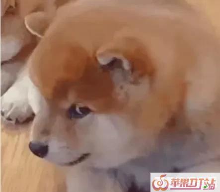 俄罗斯总统普京提到的将尽快结束俄乌冲突，暗含哪几个意思 - 苹果DJ站