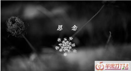 奔跑最新好听音乐 - 苹果DJ站