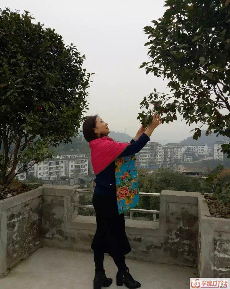 谁有好看的背影照，能不能分享一下 - 苹果DJ站