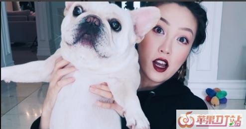 b站有哪些值得推荐的up主 - 苹果DJ站