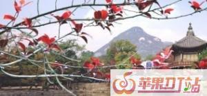 日语教学基础日语入门，日语歌曲教学