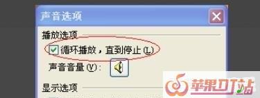2004-2006网络歌曲排名 2004-2006网络歌曲排名 - 苹果DJ站