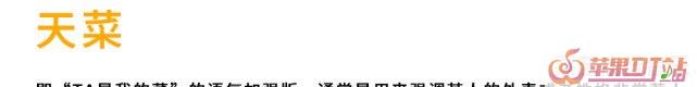 带五行的歌曲，2020年新歌曲网络用语