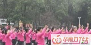 最火的广场舞曲名，流行网络广场舞最火歌曲