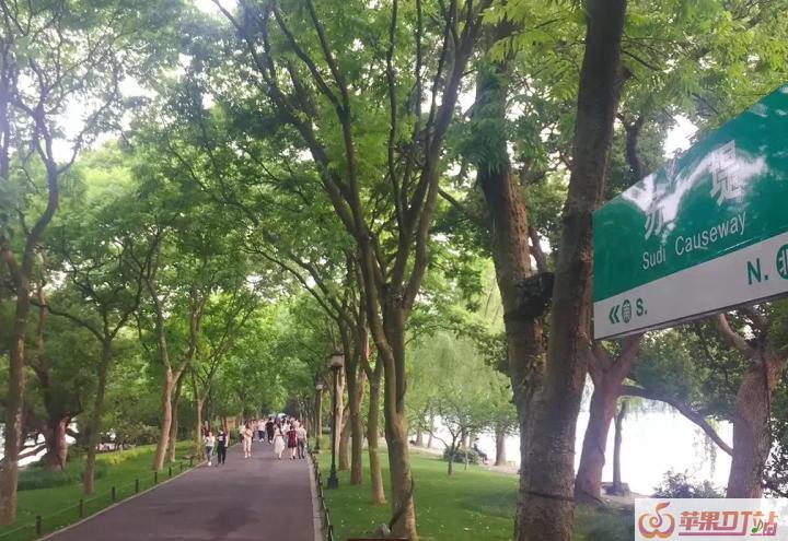 剪映音乐模板换了歌后歌词怎么换,教学设计音乐最新模板 - 苹果DJ站