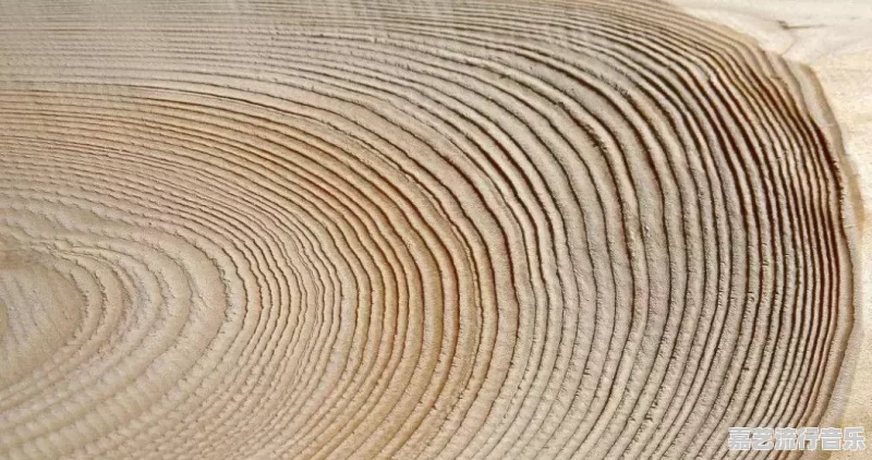 年轮说什么时候发行的 年轮说什么时候发行的 - 苹果DJ站