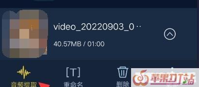 oppo手机内置铃声怎么提出来，如何提取手机铃声