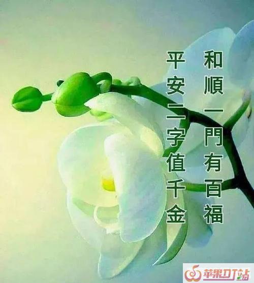 入秋冬画片简单问候，风起时手机铃声